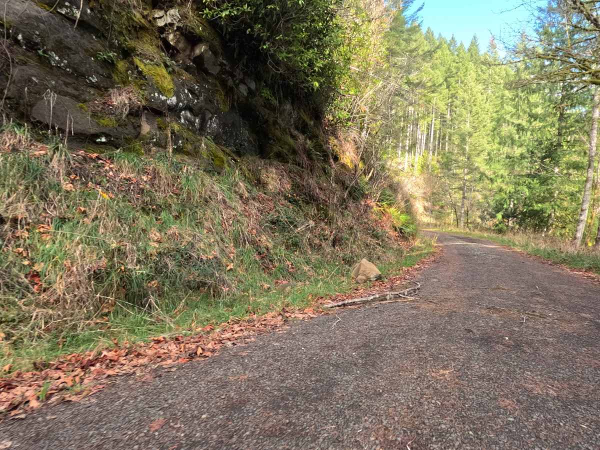 Popo trail photo