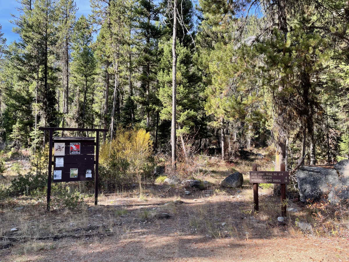 Blue Joint Trailhead Trail trail photo