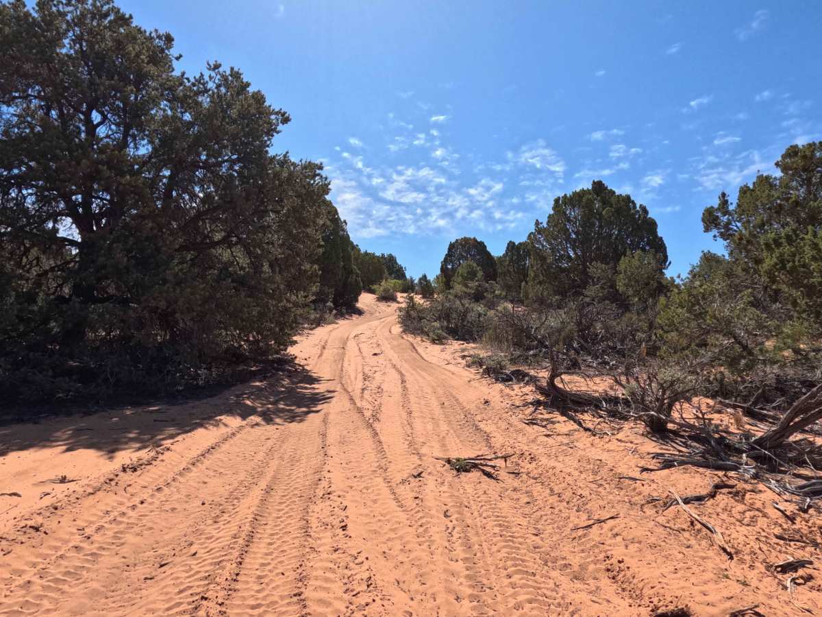 BLM 106E photo 4