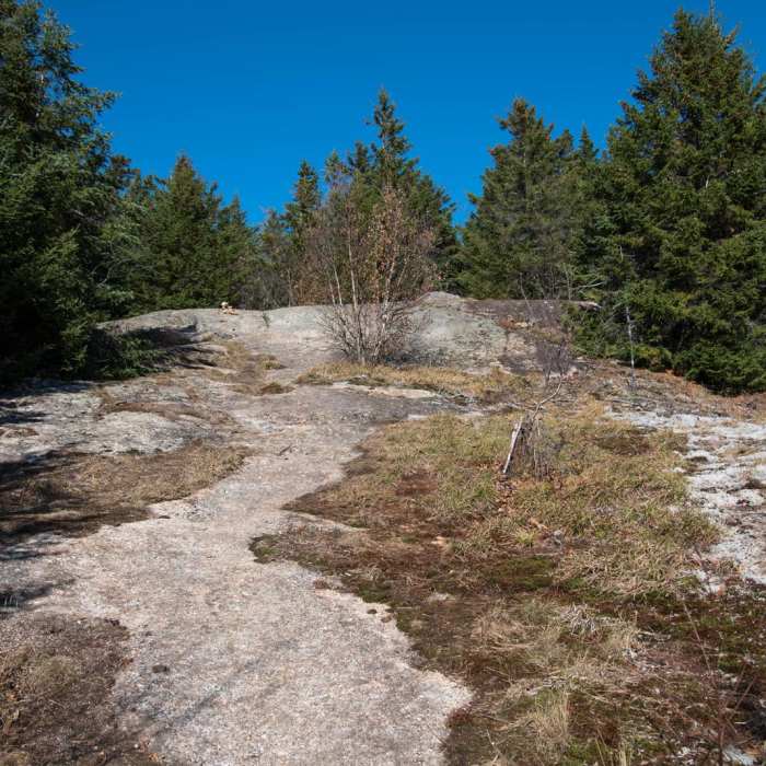 Near Table Mountain Near Table Mountain