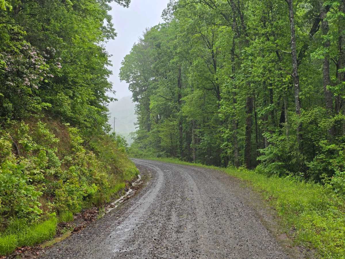 Burrell Mountain (State Road 1325) photo 6