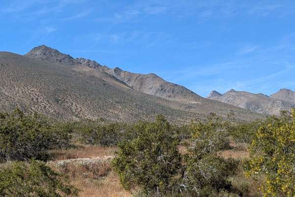 BLM LAP Grapevine Canyon