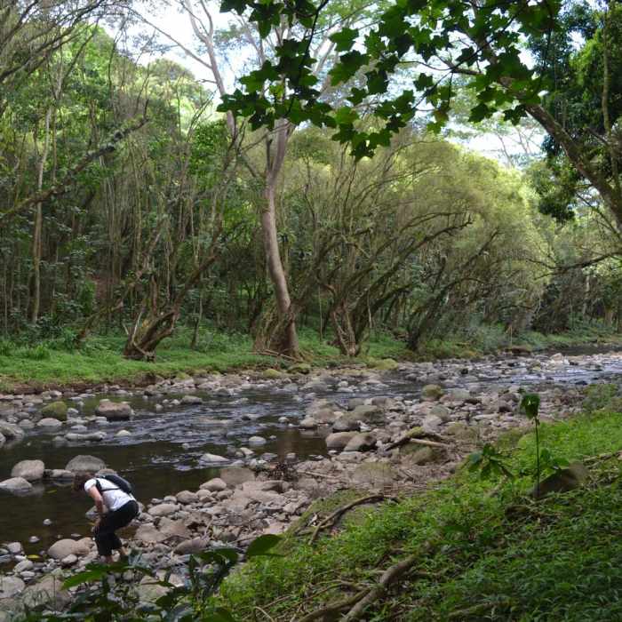 Near Kalalau to Hanakapia'i Beach Near Kalalau to Hanakapia'i Beach
