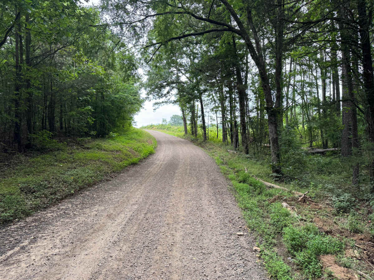 County Road 3290 photo 3