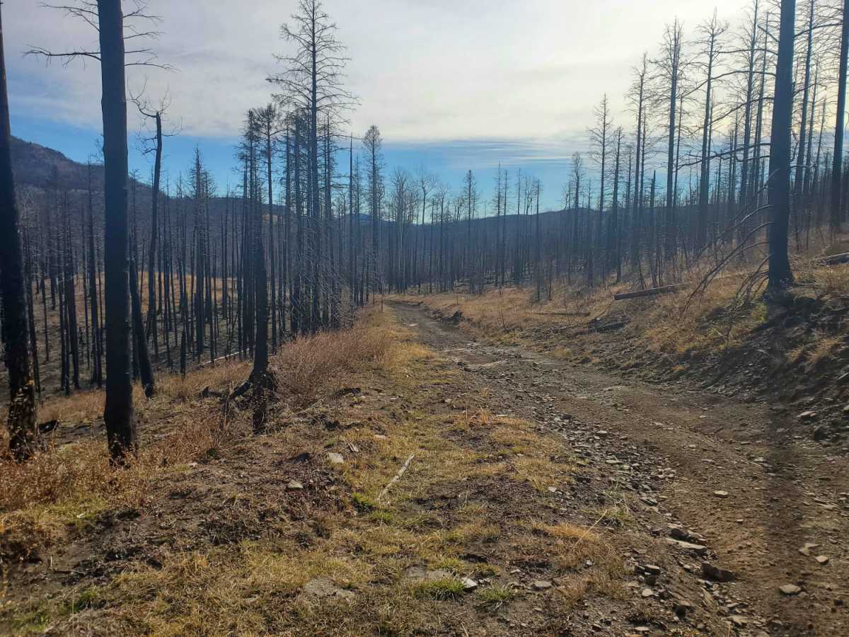 Luna Creek Trail photo 2