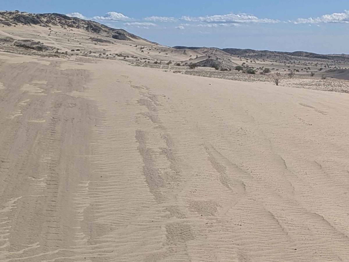 BLM 206 photo 2