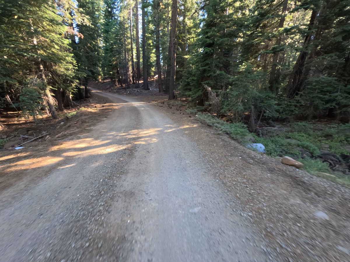 Sagehen Creek - FS 0011 photo 4