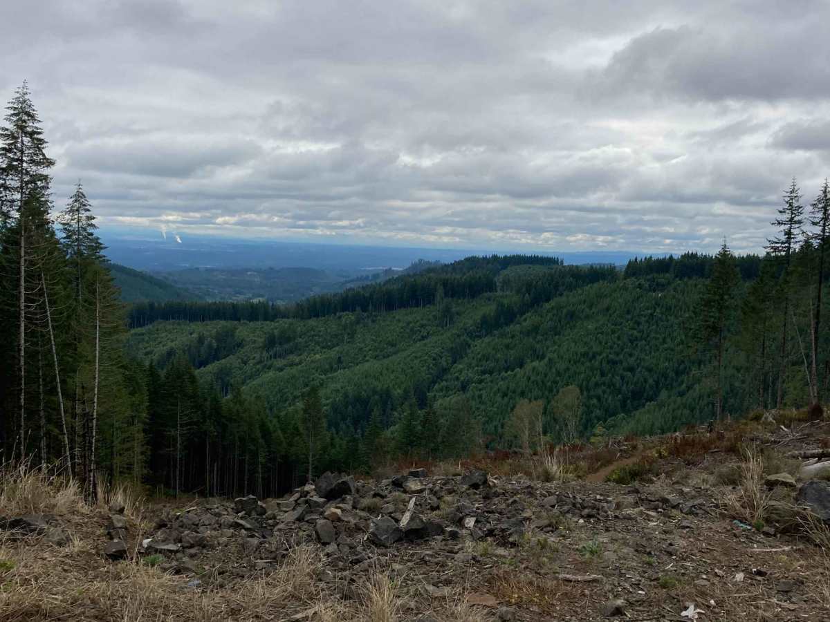 East Waddell Basin trail photo