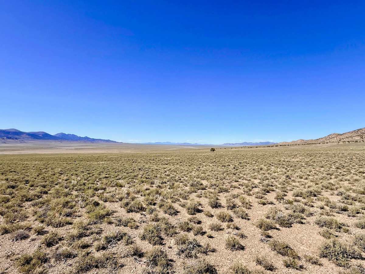 Segura Spring photo 6