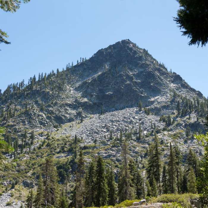 Near Lilypad Lake Via Poison Canyon Trail
