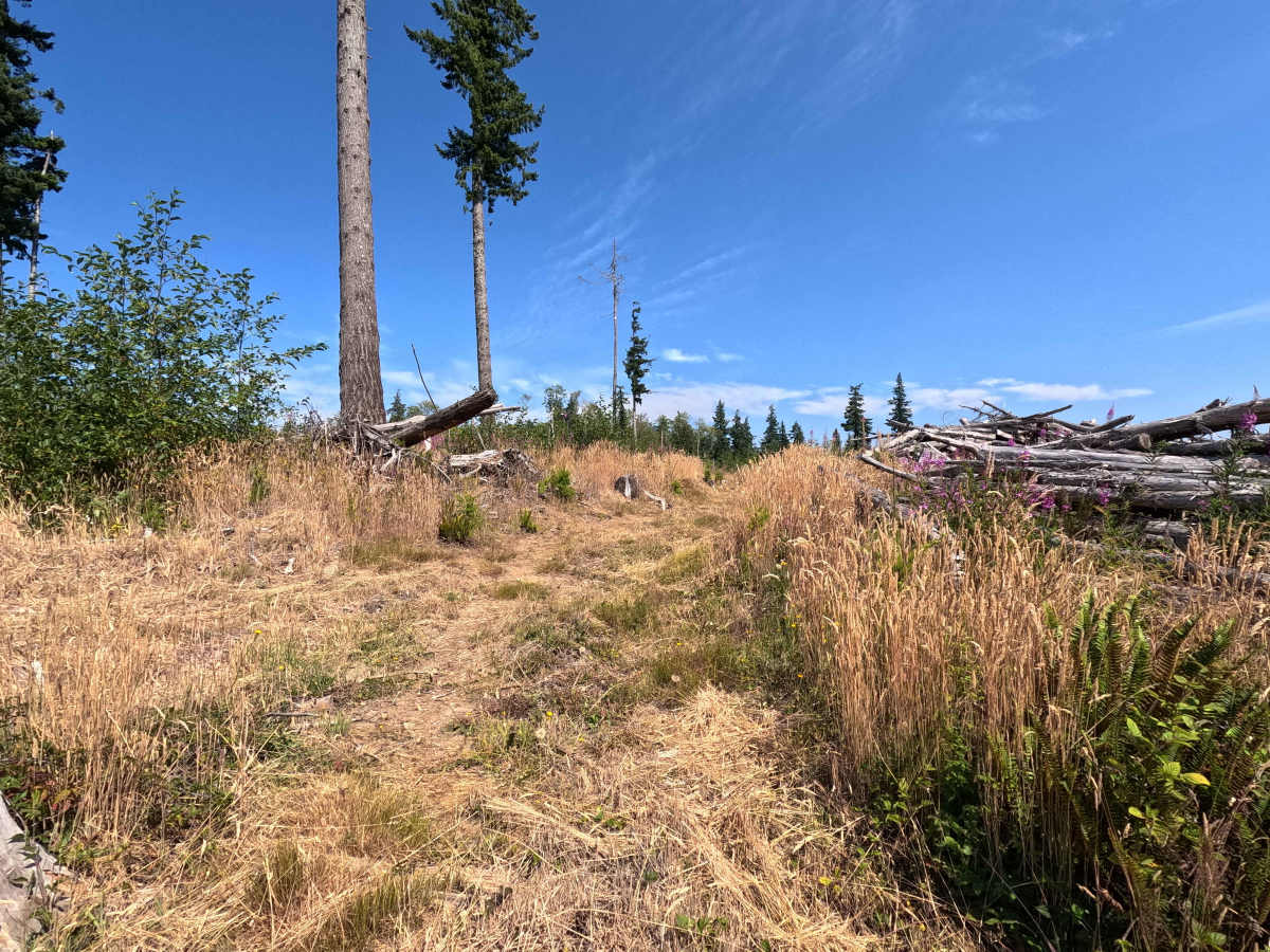 Laddy Buck Trail trail photo