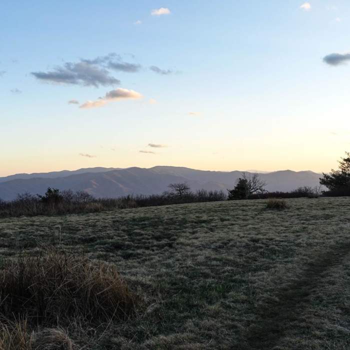 Near Gregory Bald + Shuckstack Fire Tower via Twentymile Loop Near Gregory Bald + Shuckstack Fire Tower via Twentymile Loop