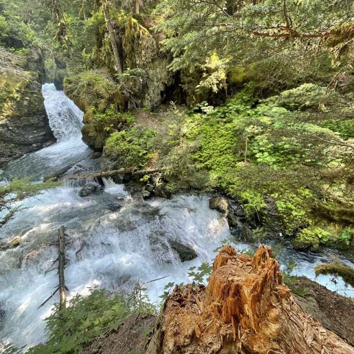 Virgin Creek Falls Near Virgin Creek Waterfalls