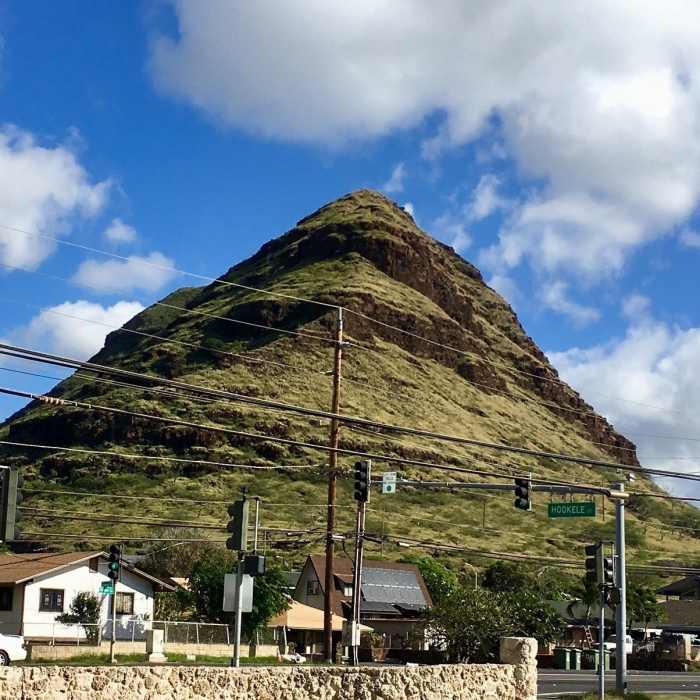Near Pink Pillbox Trail (AKA Pu'u O Hulu Trail)