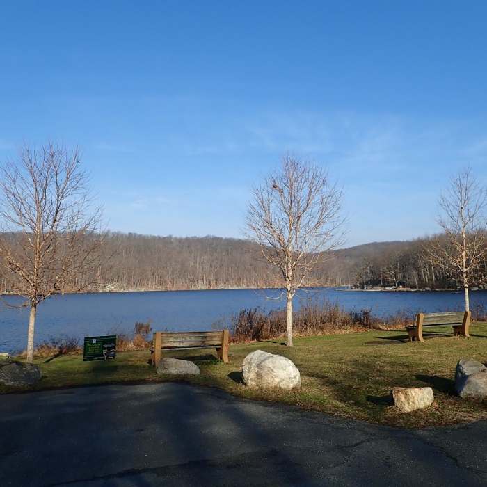 Near Halfway Mountain Loop