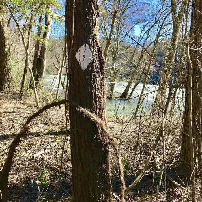 Near Benton MacKaye Trail - Childers Creek to Unicoi Gap - Backpack