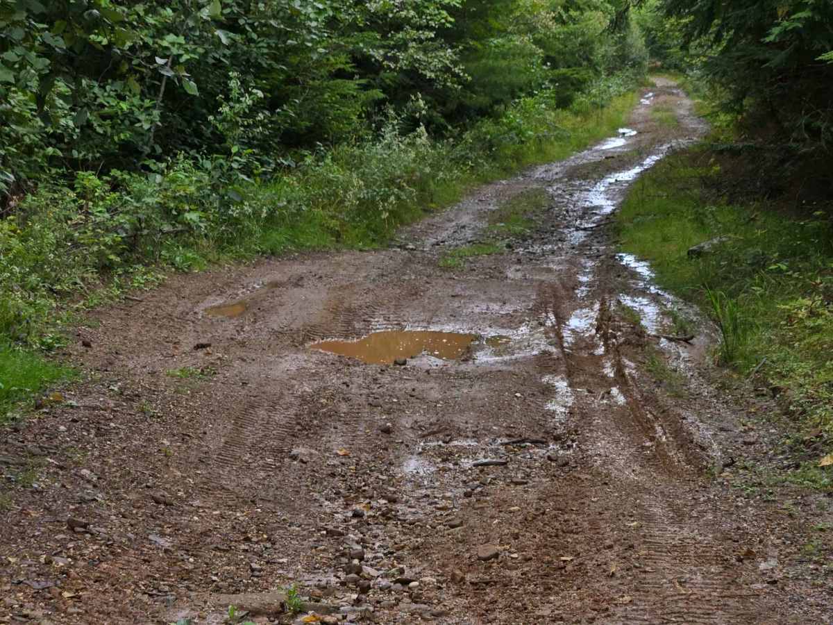 Shaw Road photo 2