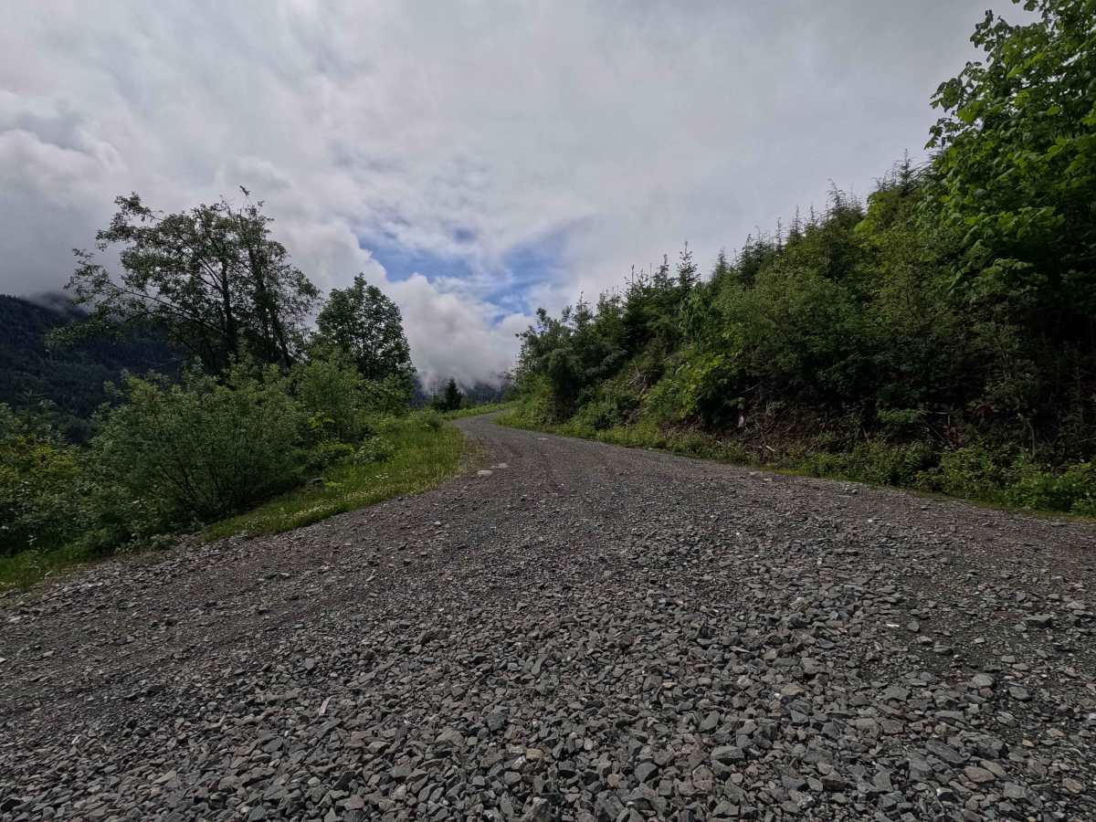 Thunder Lakes - FS 1420 trail photo
