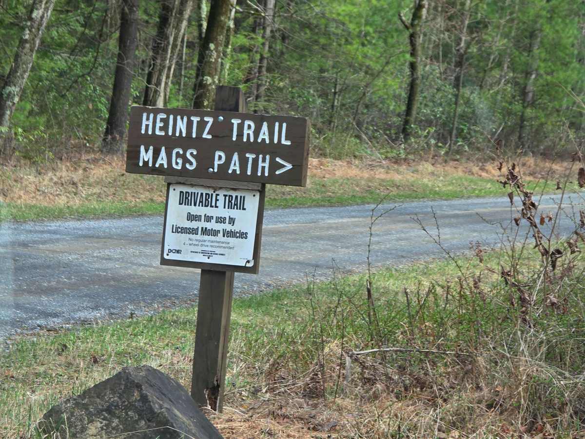 Heintz Trail trail photo