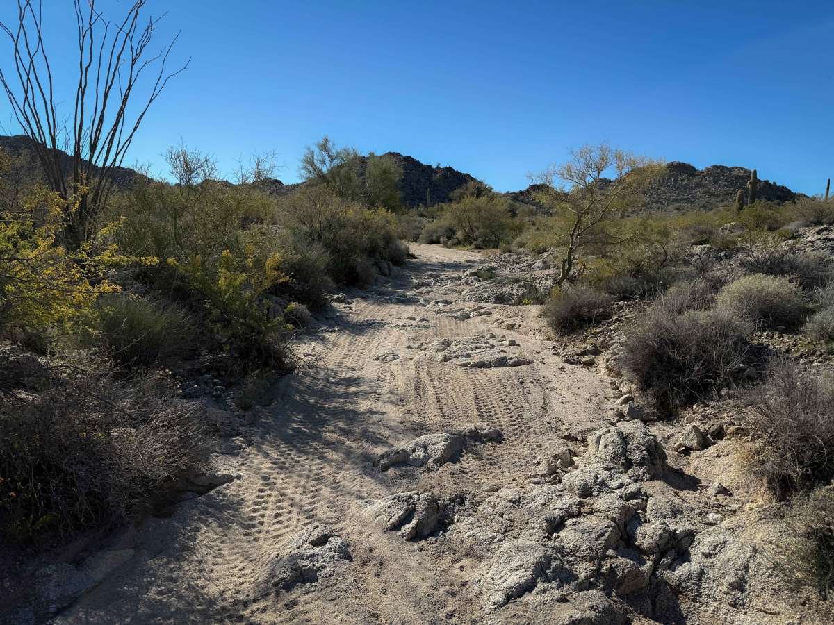 Hs68l trail photo