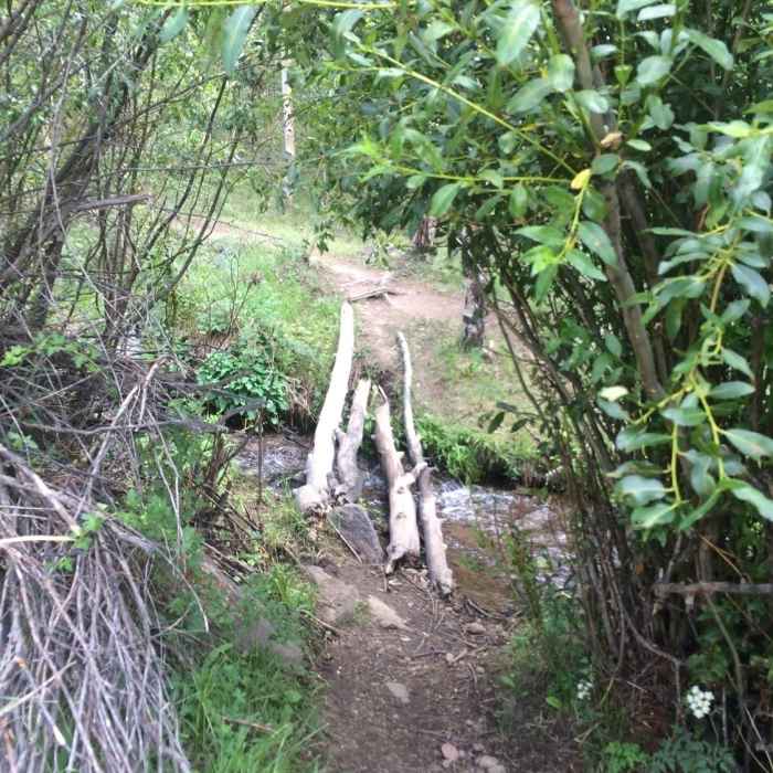 First stream crossing at the beginning of Rex Trail. Near Rex Falls Trail