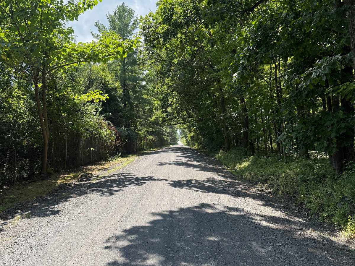 Quarry Road  photo 2