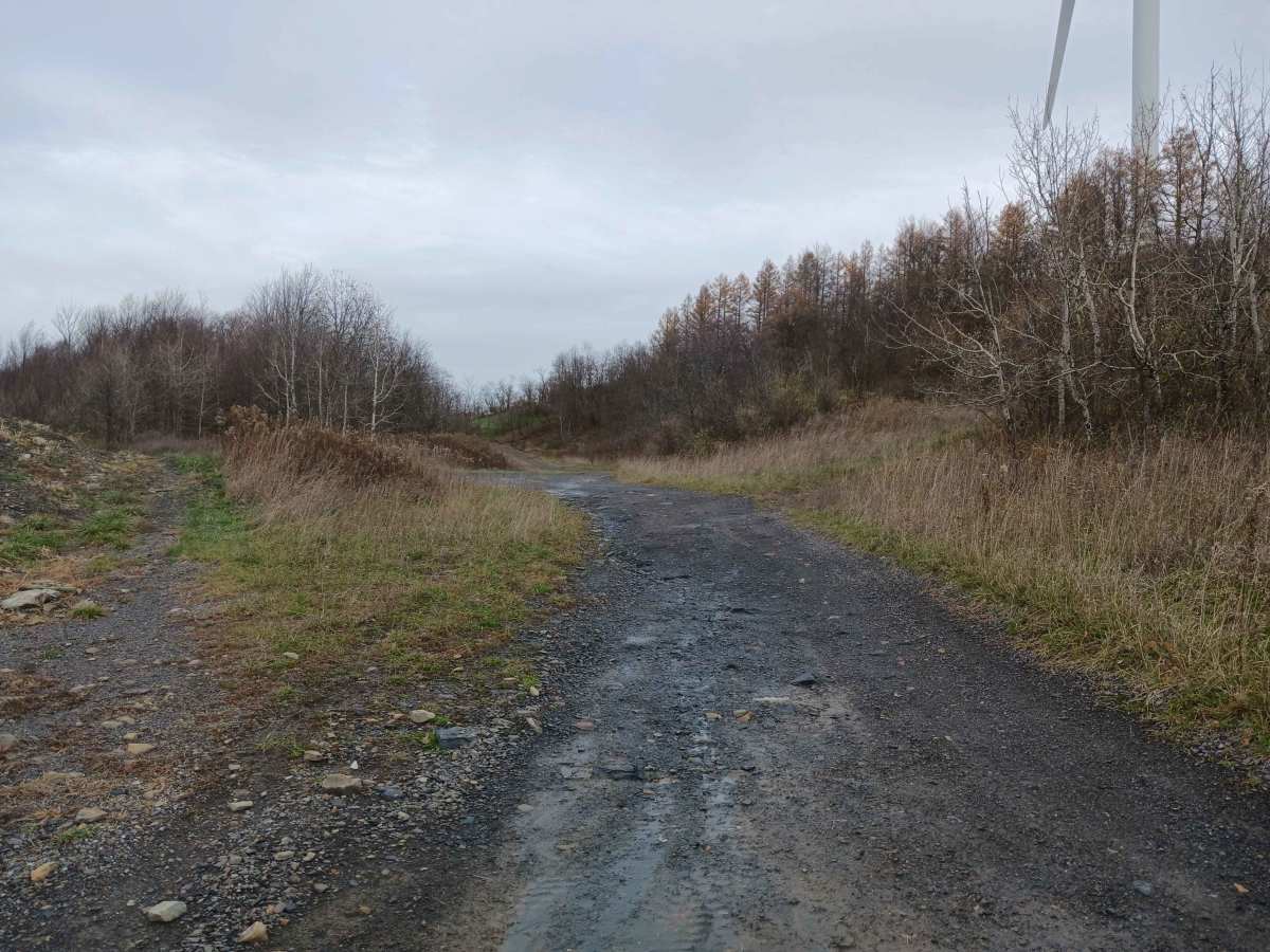 Hillcrest Drive - Rock Run Recreation Area photo 3