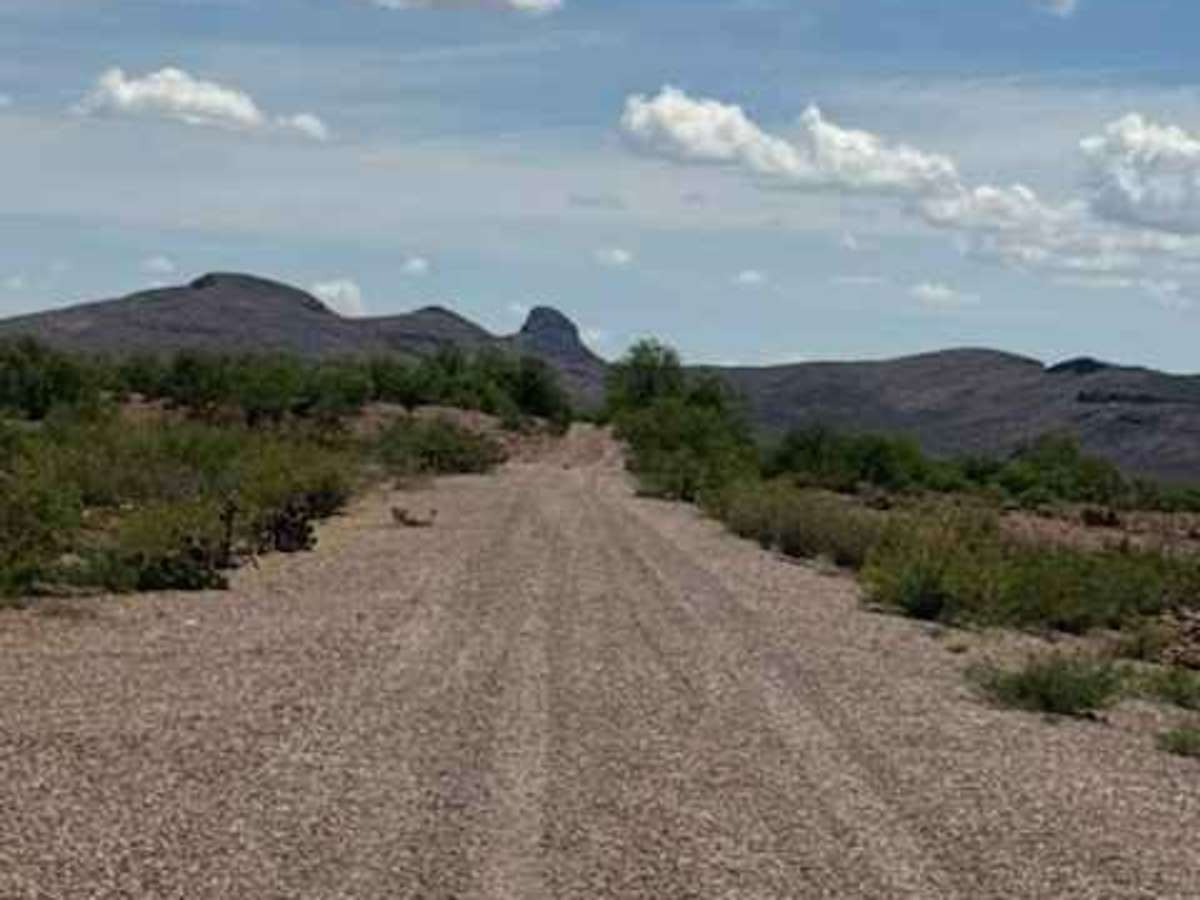 BLM PE1119 photo 3
