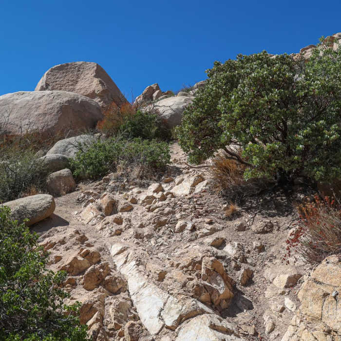 Near The Pinnacles Near The Pinnacles