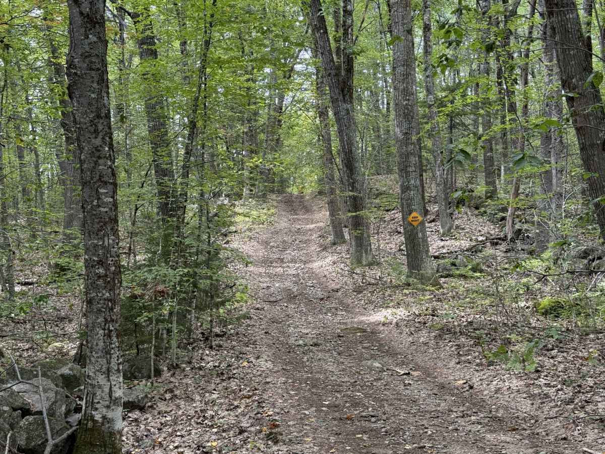 Homestead Road - West photo 5