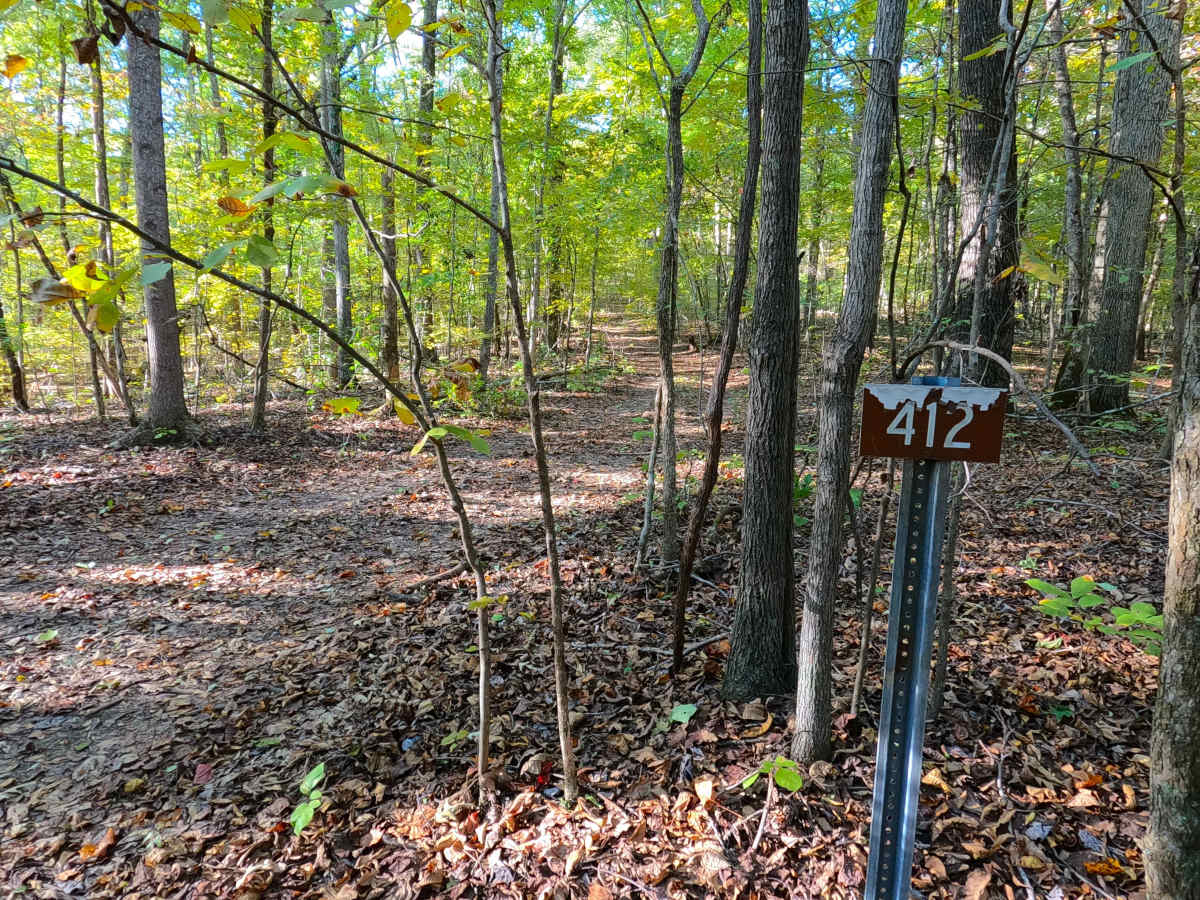 South Sugar Bay - FS 412 trail photo
