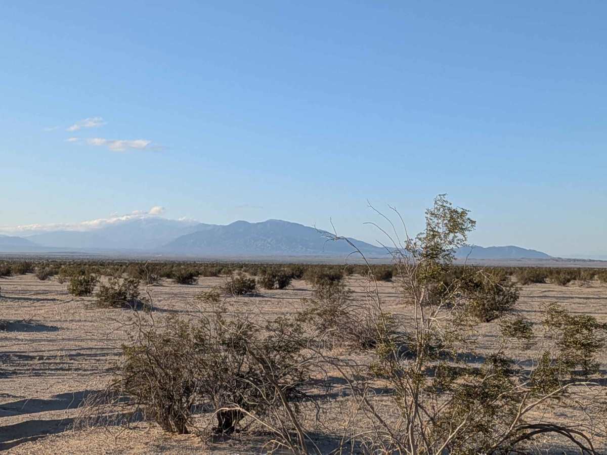 BLM 195 photo 4