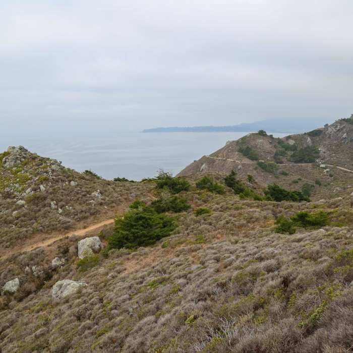 Near Rocky Point Trail