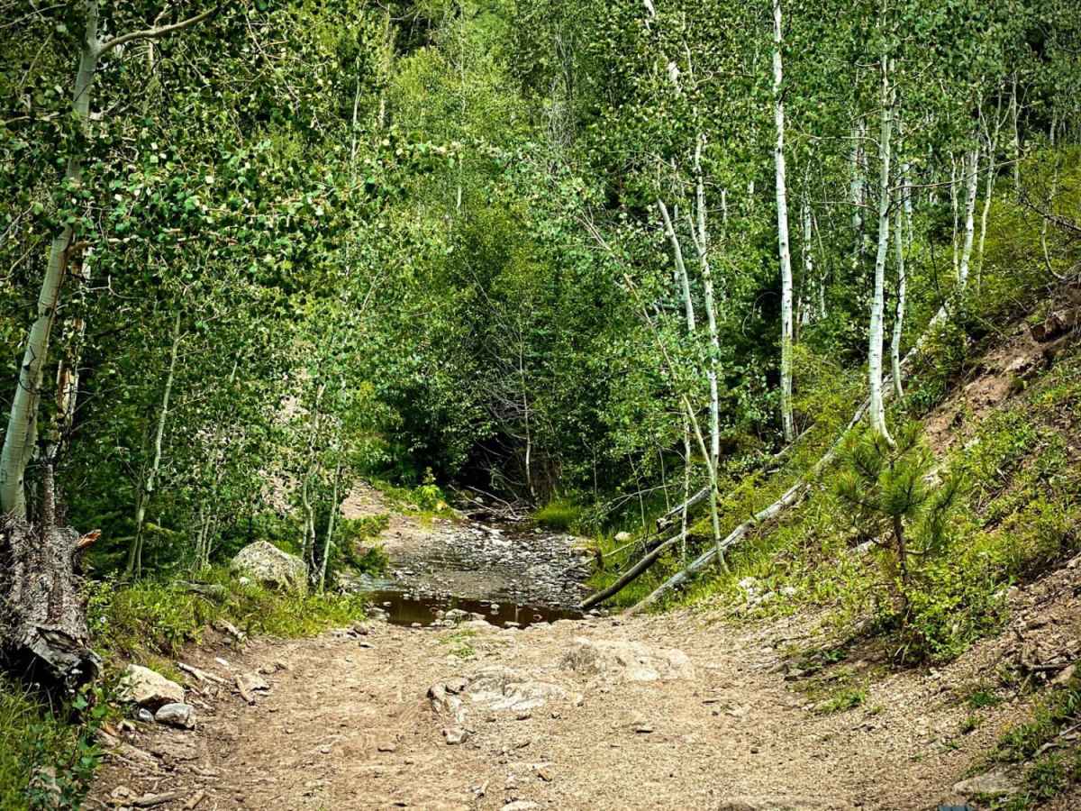 Baldy Trail trail photo