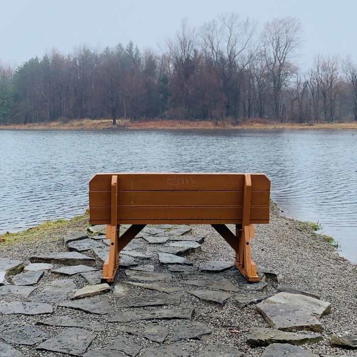 View of Flattail Lake Near Chorizo Loop