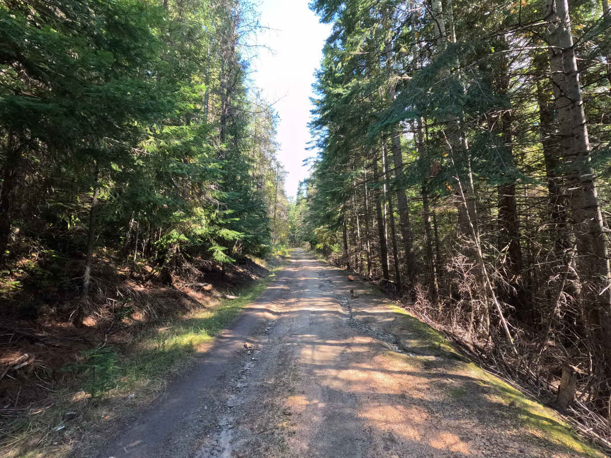 Healey Creek - FS 9517200 photo 4