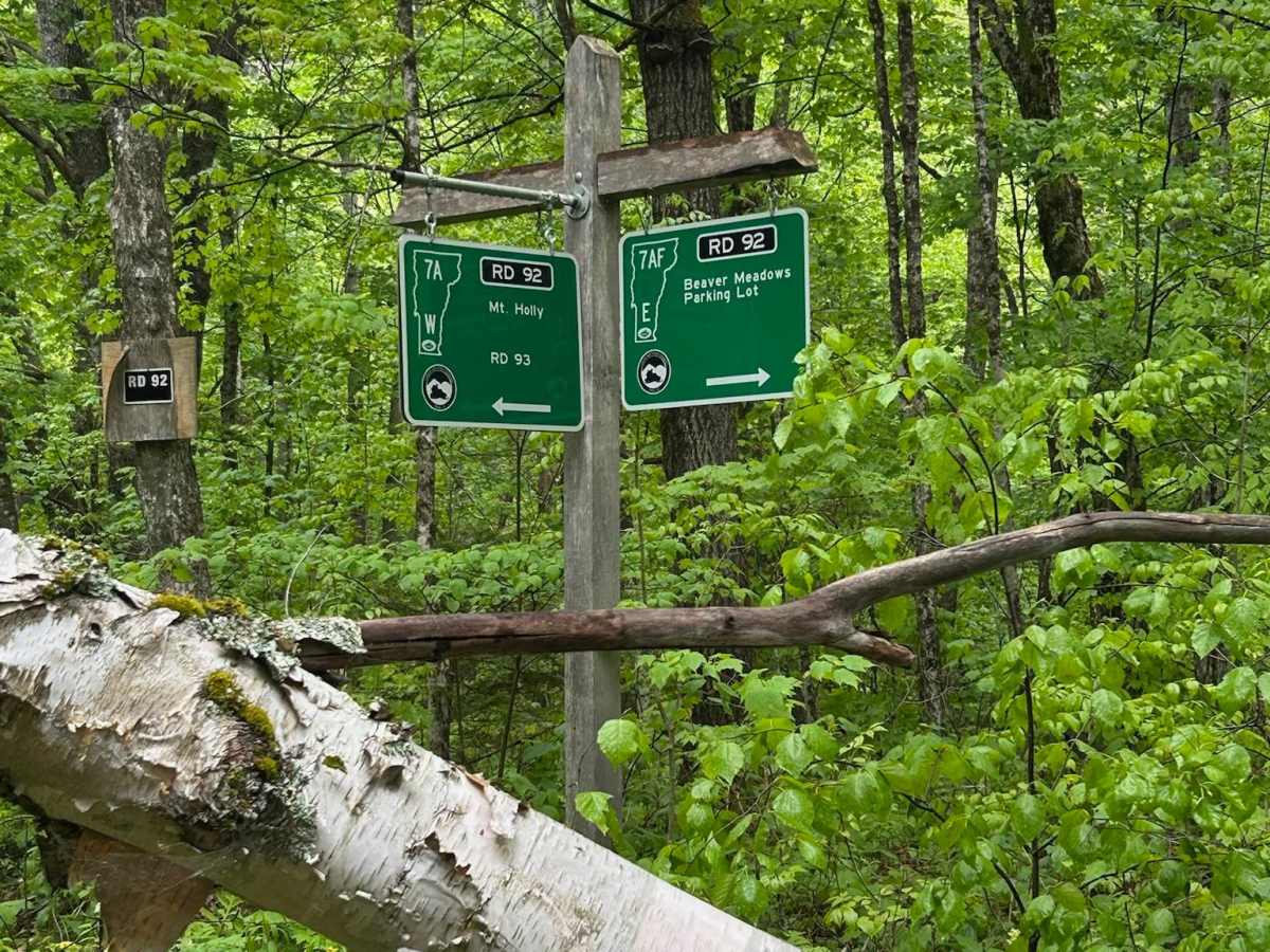 Beaver Meadow Trail - FS 76 photo 6