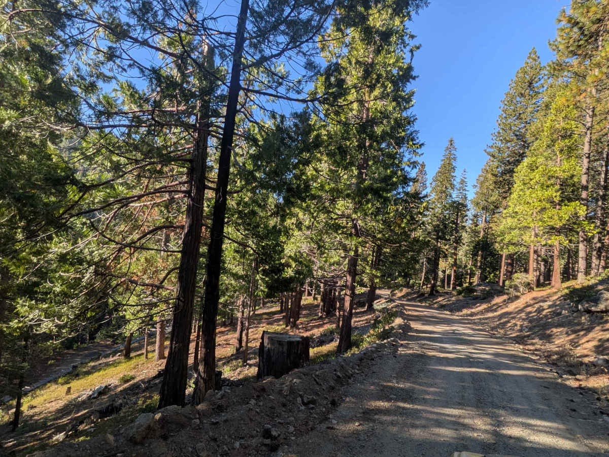 Fraser Flat Road - FS 4N13 trail photo