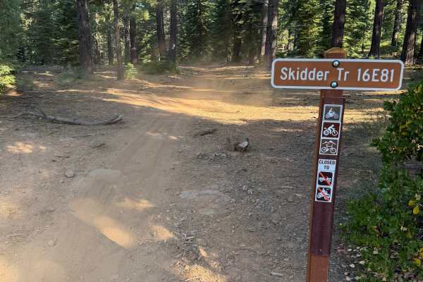 Skidder