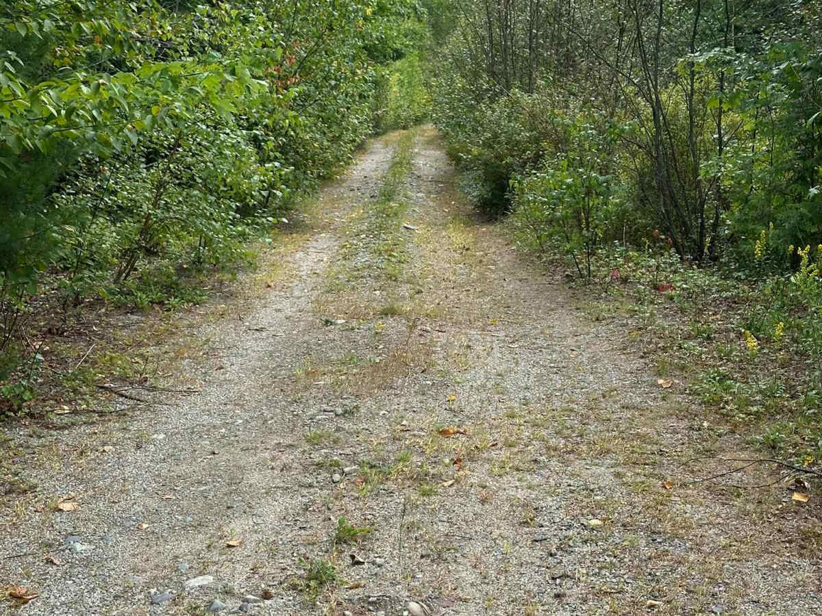 Forrest Moore Way photo 6