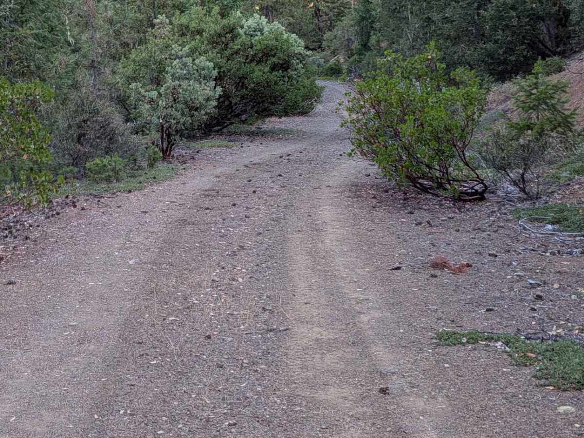 Ponder Road - FS 1N25 photo 4