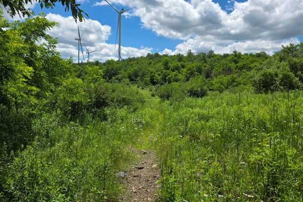 Single Track WW