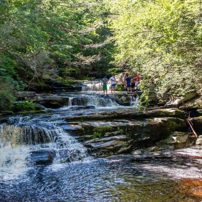 Near Vernooy Kill Falls Trail