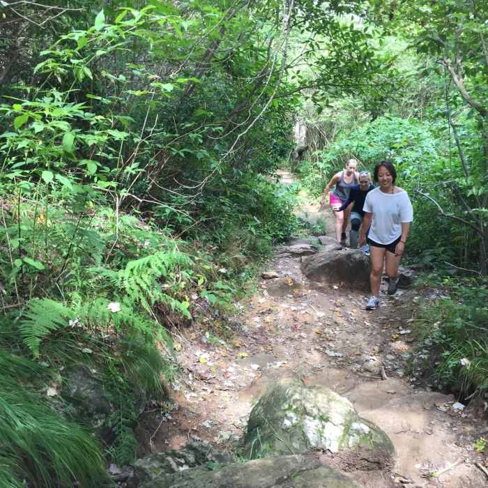Near Graveyard Fields Upper Falls Trail