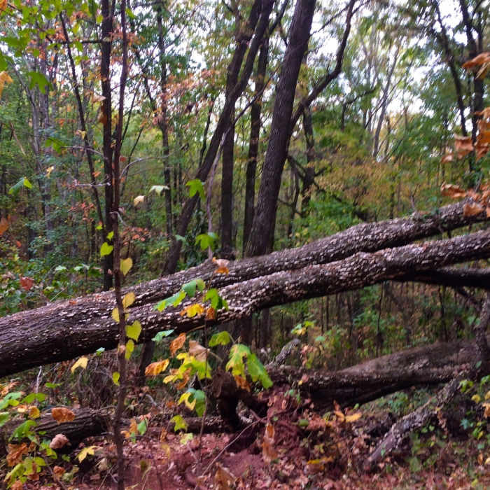 Near Ridge & Valley Trail