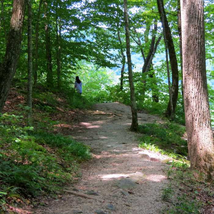 Near Green River Bluffs Trail Loop