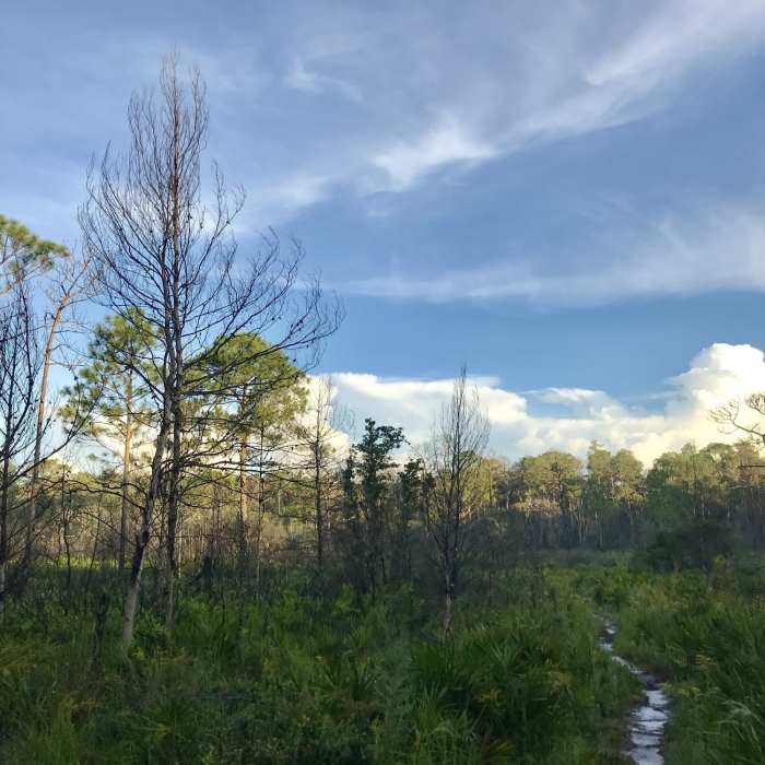 Early start to beat the sun. Near Starkey S.W.A.M.P. Loop