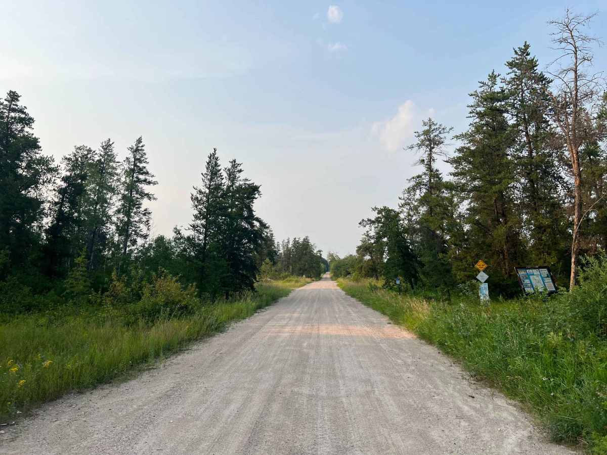 Agassiz Road photo 6