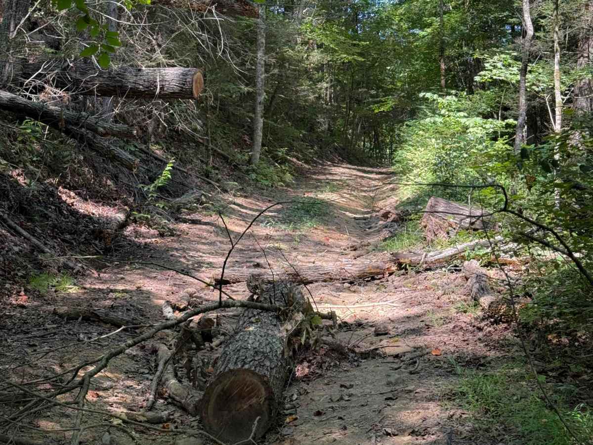 R68 trail photo