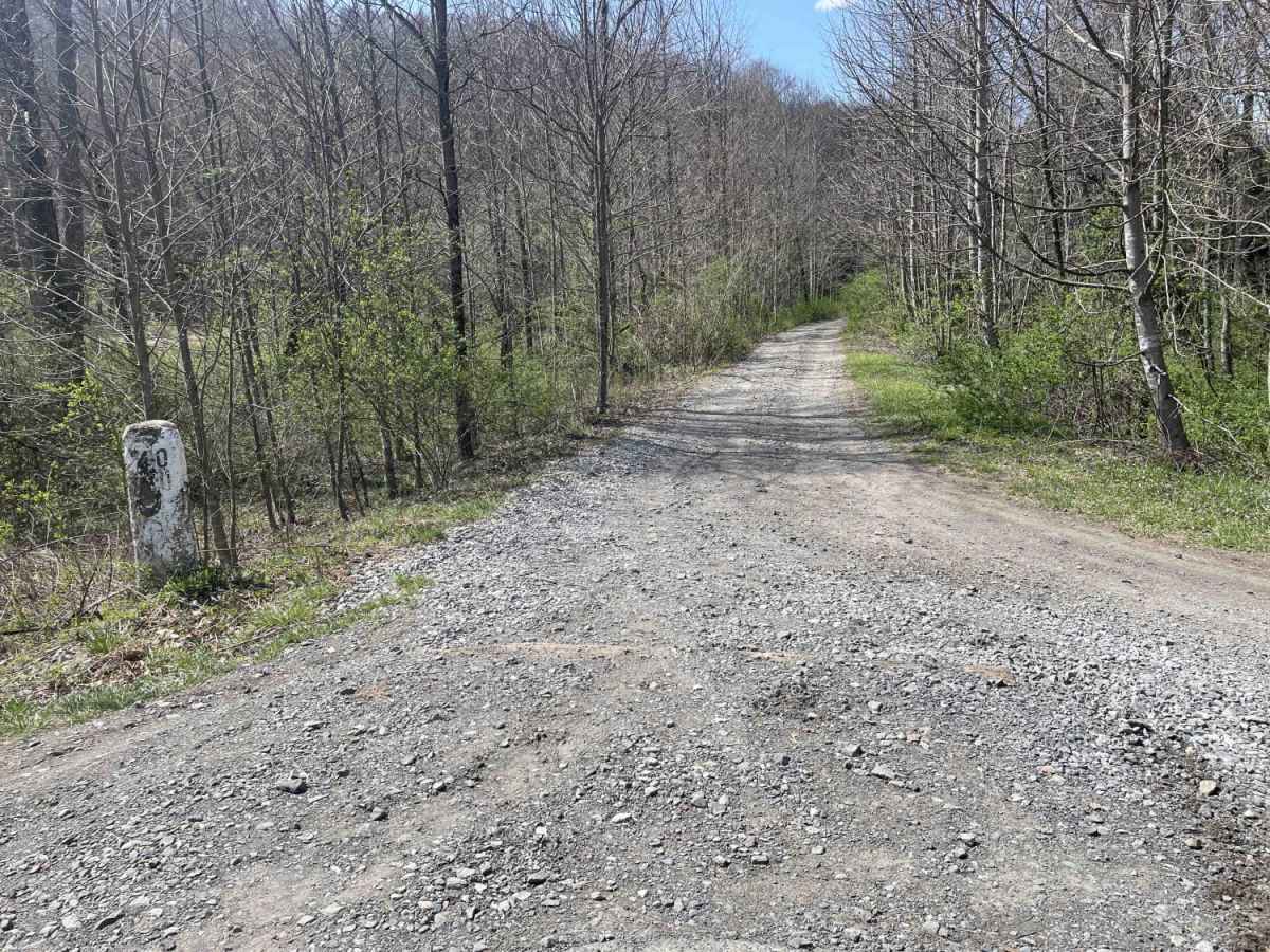 Meadow & Gauley Rivers Access Trail photo 6
